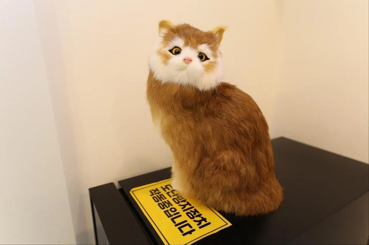 Hotel Rodem Incheon 3*,